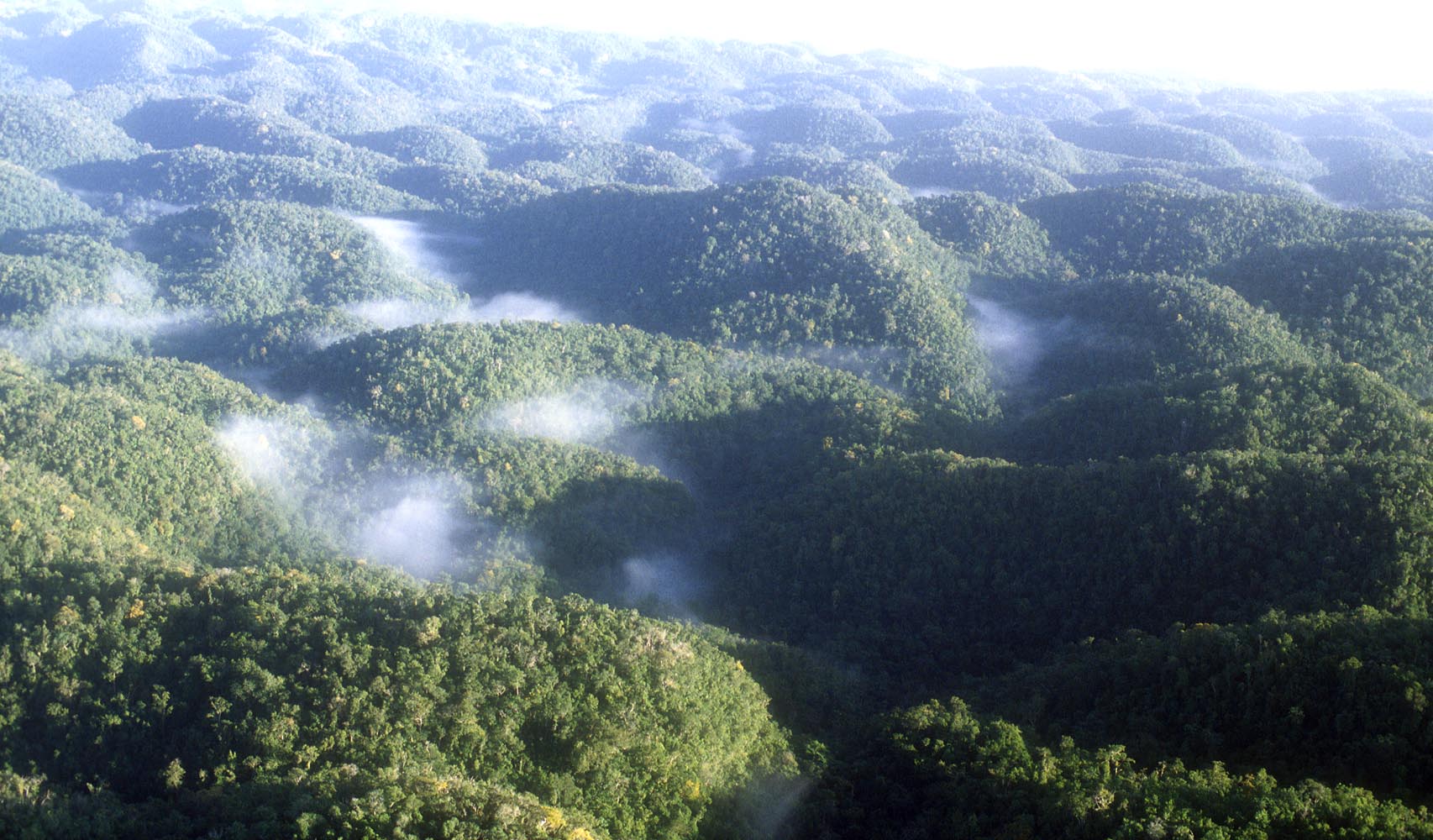 beautiful-cockpit-country